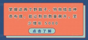 掌握这两个野路子,特效结合神奇布偶,能让粉丝数量飙升,至少增长 5000【揭秘】-葛仙仙资源库