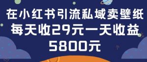 在小红书引流私域卖壁纸每张29元单日最高卖出200张(0-1搭建教程)【揭秘】-葛仙仙资源库