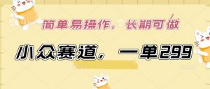 小众赛道,一单299.简单易操作,长期可做【揭秘】-葛仙仙资源库