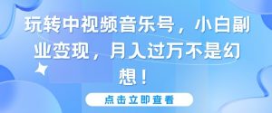 玩转中视频音乐号,小白副业变现,月入过万不是幻想【揭秘】-葛仙仙资源库