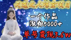 天选之人炼金项目，一个作品涨粉5000+，单号变现3.6w【揭秘】-葛仙仙资源库