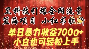 蓝海项目!黑科技引爆全网流量小红书拉新,单日暴力收益7000+,小白也能轻松上手【揭秘】-葛仙仙资源库