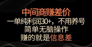 中间商赚差价，一单纯利润30+，简单无脑操作，赚的就是信息差，轻轻松松日入1000+【揭秘】-葛仙仙资源库