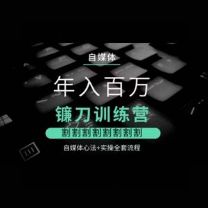 自媒体年入百万镰刀训练营,割割割割割割割割,自媒体心法+实操全套流程-葛仙仙资源库