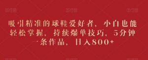 吸引精准的球鞋爱好者,小白也能轻松掌握,持续爆单技巧,5分钟一条作品,日入800+【揭秘】-葛仙仙资源库