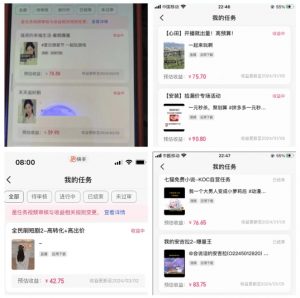 2024年3月最新,快手磁力聚星全流程实操教学,8台手机日均收益稳定100~200元【揭秘】-葛仙仙资源库