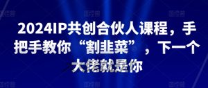 2024IP共创合伙人课程,手把手教你“割韭菜”,下一个大佬就是你-葛仙仙资源库