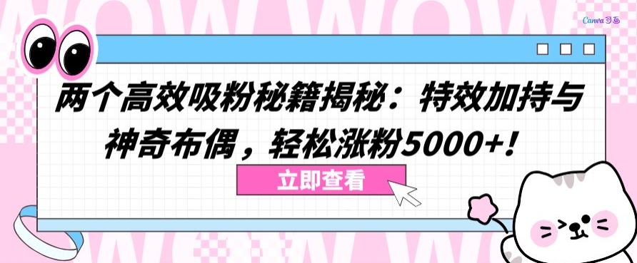 两个高效吸粉秘籍揭秘：特效加持与神奇布偶，轻松涨粉5000+【揭秘】-葛仙仙资源库