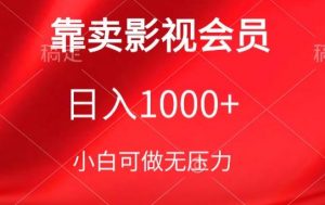 靠卖影视会员,日入1000+,落地保姆级教程,新手可学【揭秘】-葛仙仙资源库