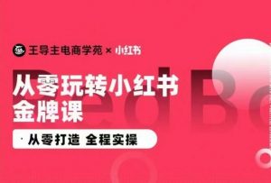 王导主·小红书电商运营实操课,从零打造  全程实操-葛仙仙资源库
