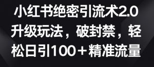 小红书绝密引流术2.0升级玩法,破封禁,轻松日引100+精准流量【揭秘】-葛仙仙资源库