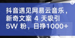 抖音遇见网易云音乐，新奇文案 4 天吸引 5W 粉，日挣1000+【揭秘】-葛仙仙资源库