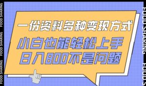 一份资料多种变现方式,小白也能轻松上手,日入800不是问题【揭秘】-葛仙仙资源库