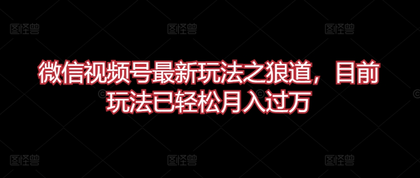 微信视频号最新玩法之狼道，目前玩法已轻松月入过万【揭秘】-葛仙仙资源库
