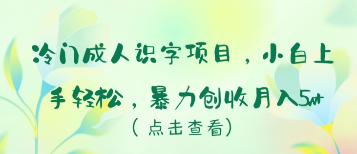 冷门成人识字项目，小白上手轻松，暴力创收月入5w+【揭秘】-葛仙仙资源库