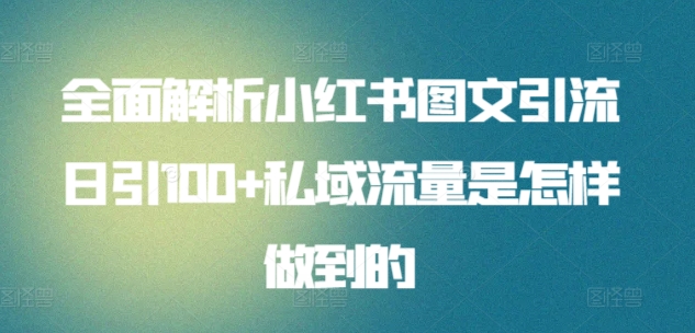 全面解析小红书图文引流日引100+私域流量是怎样做到的【揭秘】-葛仙仙资源库