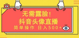 无需露脸，Ai头像直播项目，简单操作日入500+【揭秘】-葛仙仙资源库