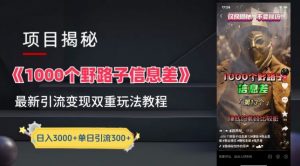 一千个野路子信息差最新玩法教程-变现+引流的玩法具体拆解【揭秘】-葛仙仙资源库