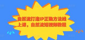 自然流打造IP正确方法线上课,自然流短视频教程-葛仙仙资源库