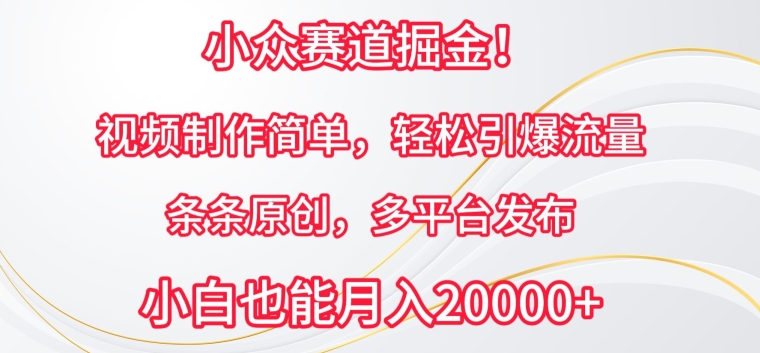 小众赛道掘金，视频制作简单，轻松引爆流量，条条原创，多平台发布【揭秘】-葛仙仙资源库