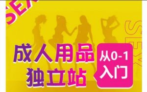 成人用品独立站从0-1入门,成品独立站运营全流程教学,七大好卖成品独立站推荐-葛仙仙资源库