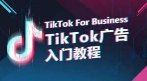 TikTok广告入门教程，从0到1掌握TikTok投放的全流程-葛仙仙资源库