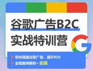 谷歌广告B2C实战特训营，500+谷歌账户总结经验，实战演示如何从0-1搭建广告账户-葛仙仙资源库