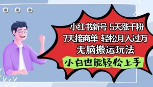 小红书影视泥巴追剧5天涨千粉,7天接商单,轻松月入过万,无脑搬运玩法【揭秘】-葛仙仙资源库