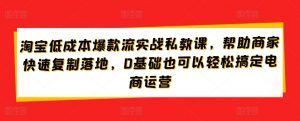 淘宝低成本爆款流实战私教课,帮助商家快速复制落地,0基础也可以轻松搞定电商运营-葛仙仙资源库