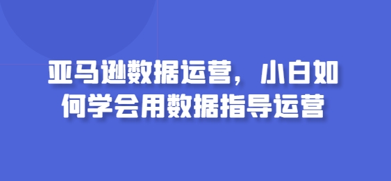 亚马逊数据运营，小白如何学会用数据指导运营-葛仙仙资源库