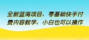 全新蓝海项目，零基础快手付费内容教学，小白也可以操作【揭秘】-葛仙仙资源库