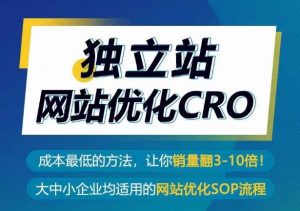 独立站网站优化CRO,成本最低的方法,让你销量翻3-10倍-葛仙仙资源库