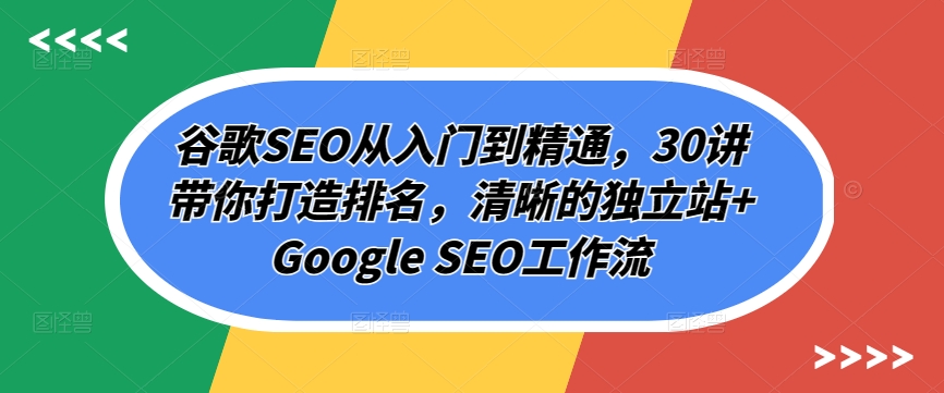 谷歌SEO从入门到精通，30讲带你打造排名，清晰的独立站+Google SEO工作流-葛仙仙资源库