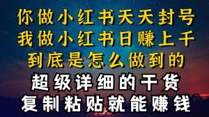 都知道小红书能引流私域变现,可为什么我能一天引流几十人变现上千,但你却频频封号违规被限流【揭秘】-葛仙仙资源库
