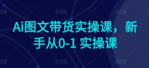 Ai图文带货实操课,新手从0-1 实操课-葛仙仙资源库