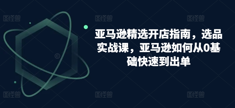 亚马逊精选开店指南，选品实战课，亚马逊如何从0基础快速到出单-葛仙仙资源库