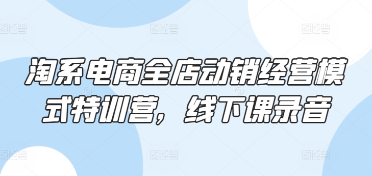 淘系电商全店动销经营模式特训营，线下课录音-葛仙仙资源库