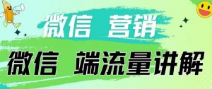 4.19日内部分享《微信营销流量端口》微信付费投流【揭秘】-葛仙仙资源库
