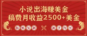 小说出海赚美金,稿费月收益2500+美金,仅需chatgpt粘贴复制,新手也能玩转【揭秘】-葛仙仙资源库