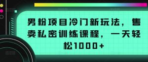 男粉项目冷门新玩法，售卖私密训练课程，一天轻松1000+【揭秘】-葛仙仙资源库