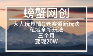 大人玩具情Q用品赛道私域全新玩法,三个月变现20W,老项目新思路【揭秘】-葛仙仙资源库