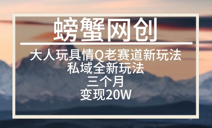 大人玩具情Q用品赛道私域全新玩法，三个月变现20W，老项目新思路【揭秘】-葛仙仙资源库