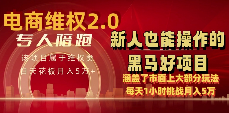电商维权 4.0 如何做到月入 5 万+每天 1 小时新人也能快速上手【仅揭秘】-葛仙仙资源库