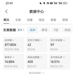 拼多多虚拟U盘电商红利项目:月赚2万+,新手小白也能玩-葛仙仙资源库