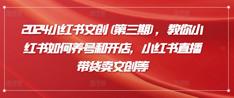 2024小红书文创(第三期)，教你小红书如何养号和开店，小红书直播带货卖文创等-葛仙仙资源库