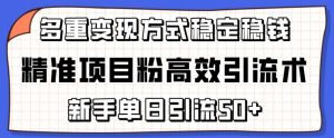 精准项目粉高效引流术，新手单日引流50+，多重变现方式稳定赚钱【揭秘】-葛仙仙资源库