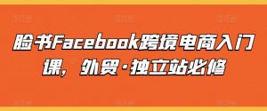脸书Facebook跨境电商入门课，外贸·独立站必修-葛仙仙资源库