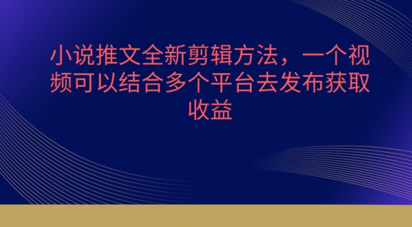 小说推文全新剪辑方法，一个视频可以结合多个平台去发布获取【揭秘】-葛仙仙资源库