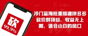 冷门蓝海批量搭建拼多多砍价群项目,收益无上限,适合小白的风口【揭秘】-葛仙仙资源库