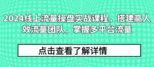 2024线上流量操盘实战课程,搭建高人效流量团队,掌握多平台流量-葛仙仙资源库